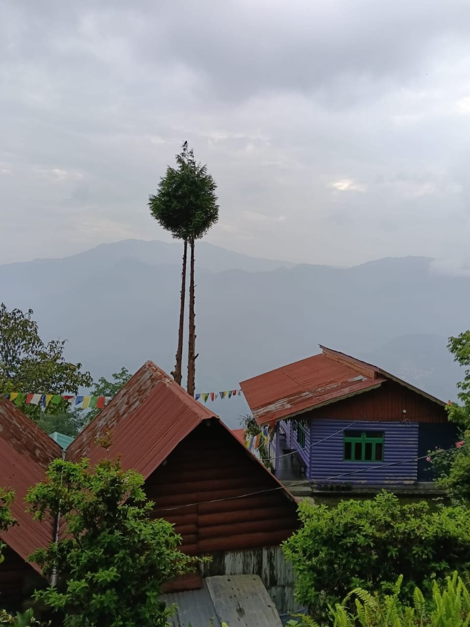 Travel memory